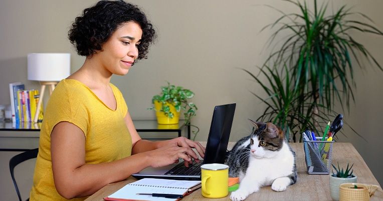 systemes de pointages header